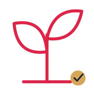 Young sprout drawn as an accent icon with clean rounded lines.