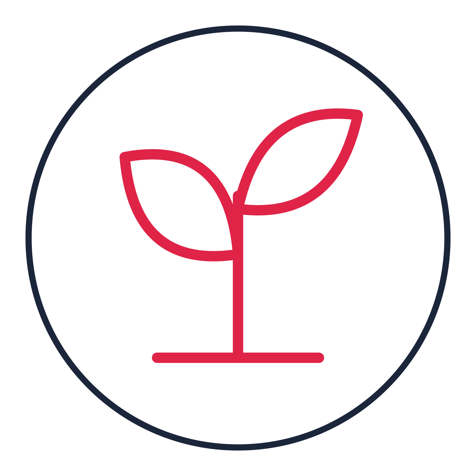 Young sprout drawn as a medallion icon with clean rounded lines.