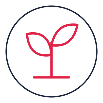Young sprout drawn as a medallion icon with clean rounded lines.