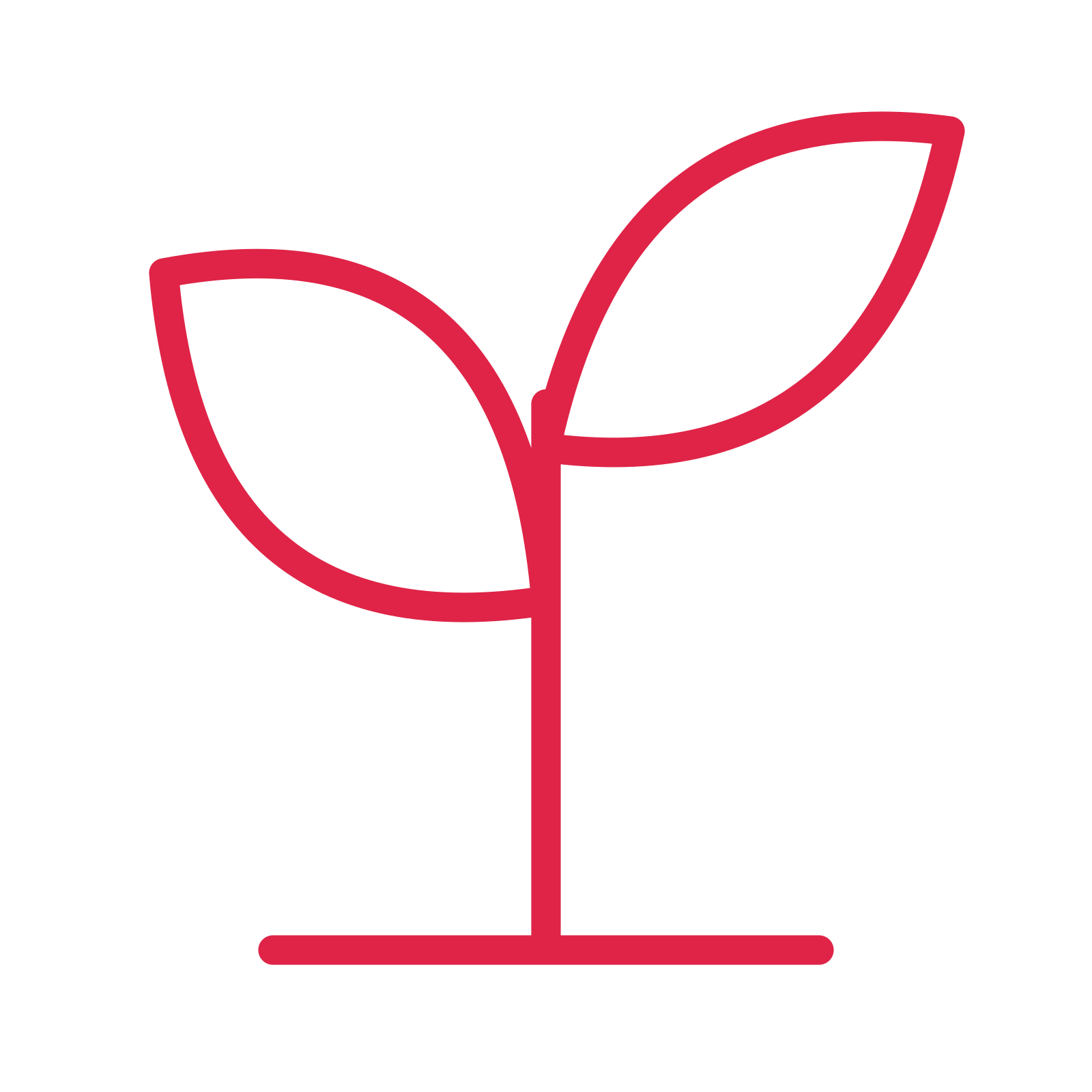 Young sprout drawn as an outline icon with clean rounded lines.