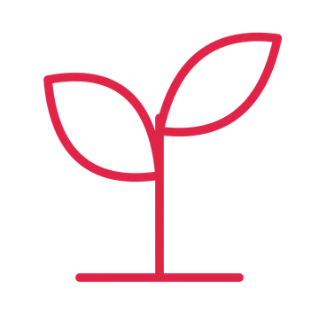 Young sprout drawn as an outline icon with clean rounded lines.