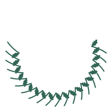 A crescent birch wreath made from 20 leafy motifs around an empty centre.