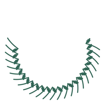 A crescent birch wreath made from 24 leafy motifs around an empty centre.