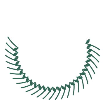 A crescent birch wreath made from 28 leafy motifs around an empty centre.
