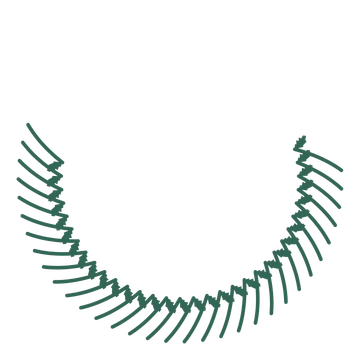 A crescent birch wreath made from 32 leafy motifs around an empty centre.