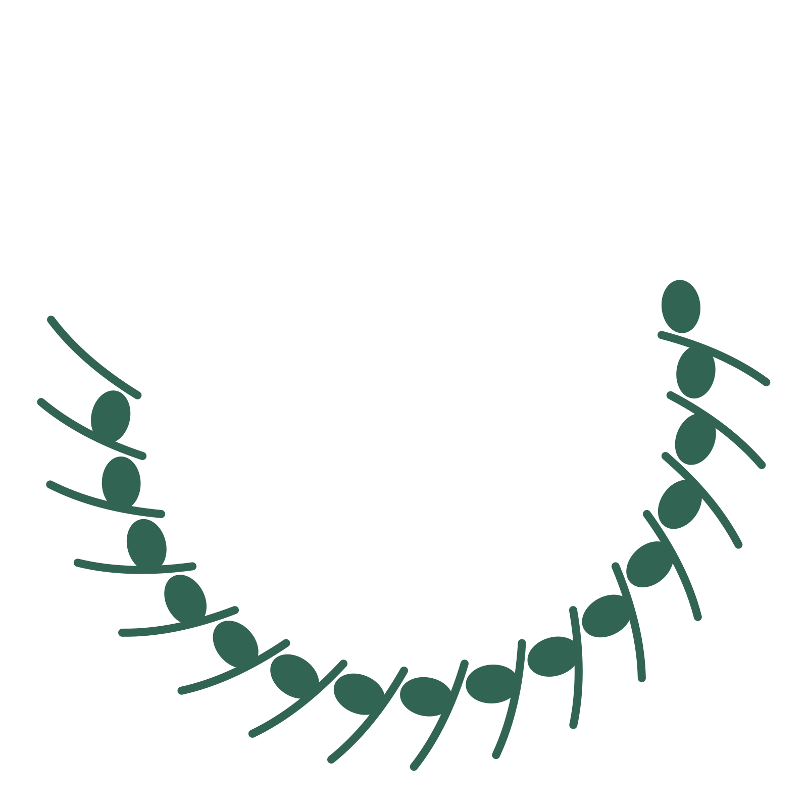 A crescent eucalyptus wreath made from 16 leafy motifs around an empty centre.