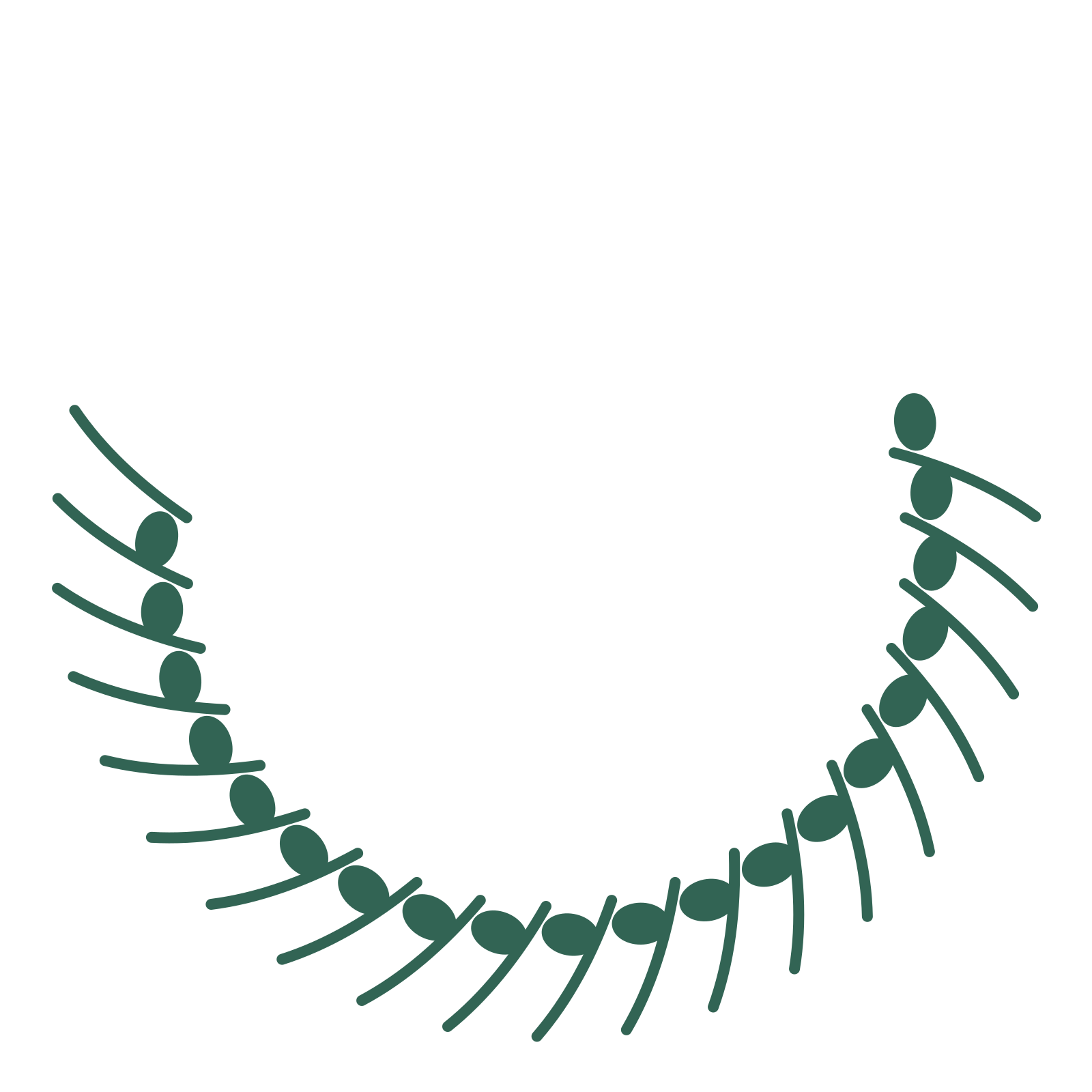 A crescent eucalyptus wreath made from 20 leafy motifs around an empty centre.
