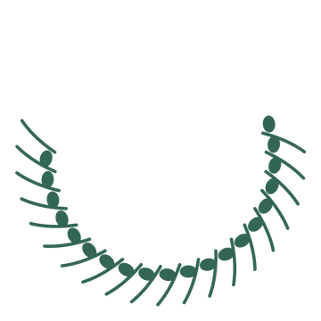 A crescent eucalyptus wreath made from 20 leafy motifs around an empty centre.