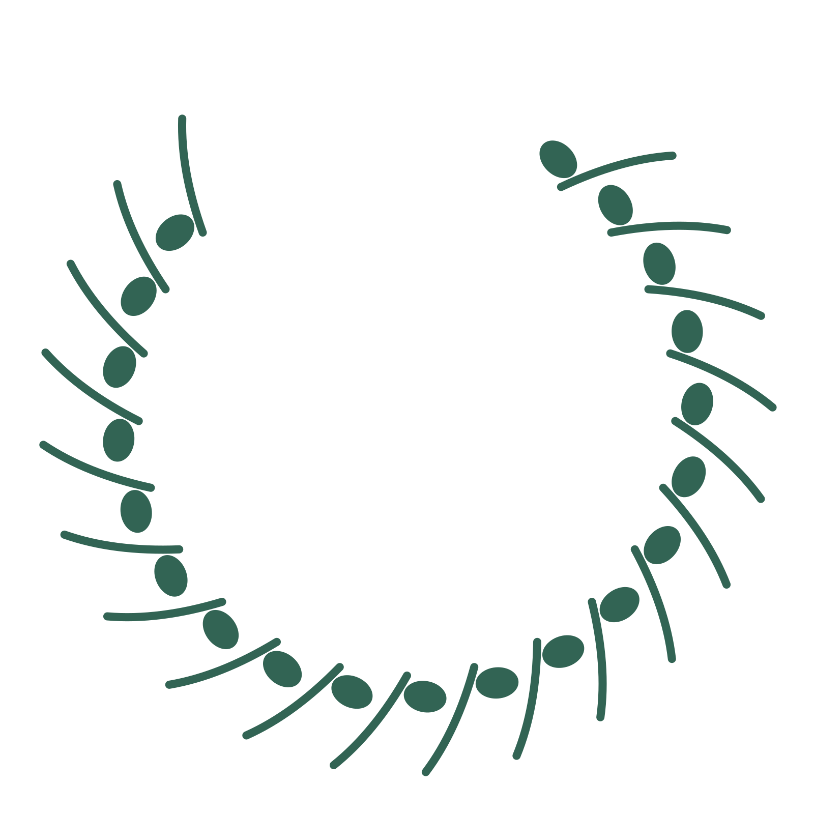 A open top eucalyptus wreath made from 20 leafy motifs around an empty centre.