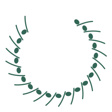 A open top eucalyptus wreath made from 20 leafy motifs around an empty centre.