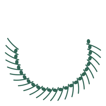 A crescent eucalyptus wreath made from 24 leafy motifs around an empty centre.