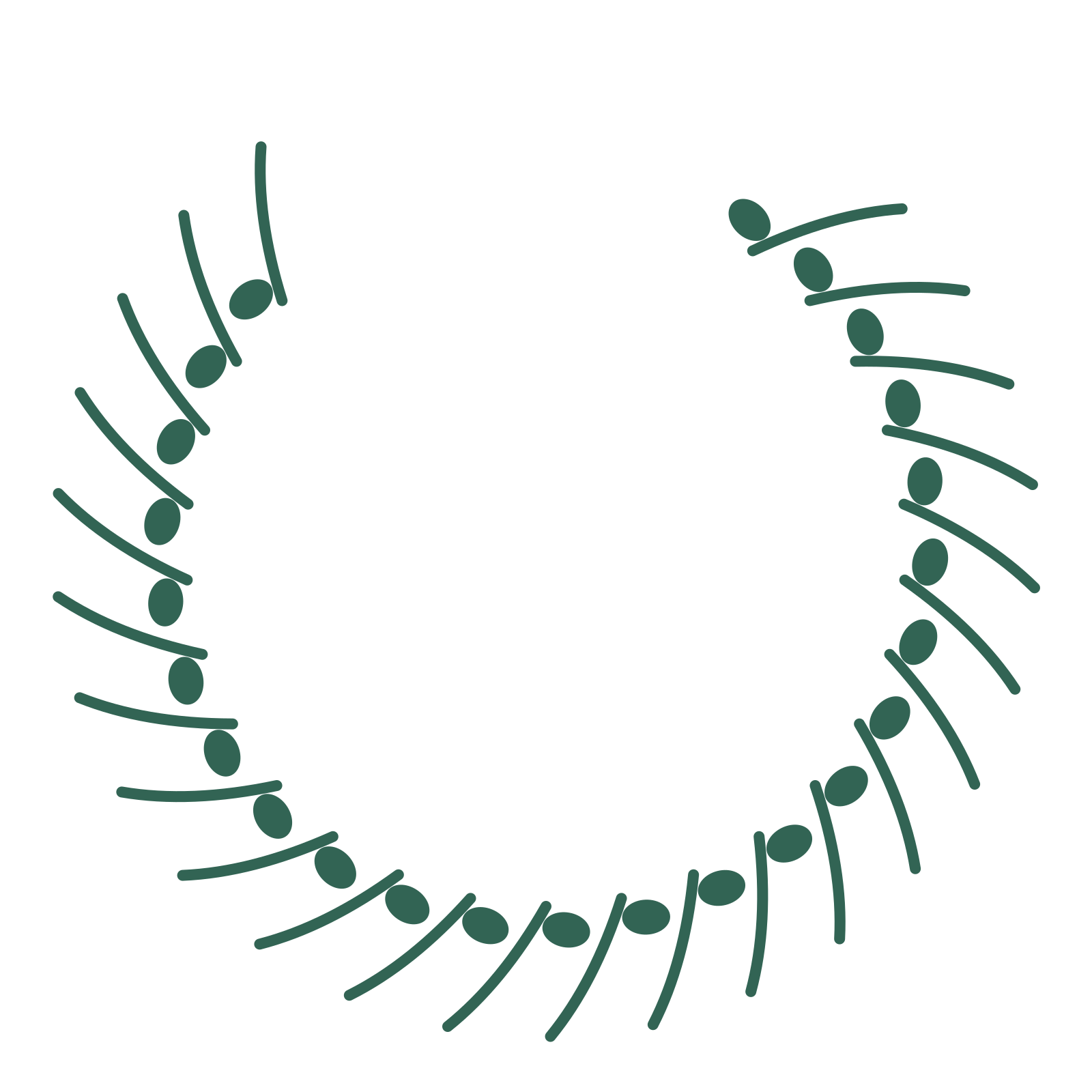 A open top eucalyptus wreath made from 24 leafy motifs around an empty centre.