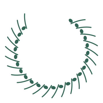 A open top eucalyptus wreath made from 24 leafy motifs around an empty centre.