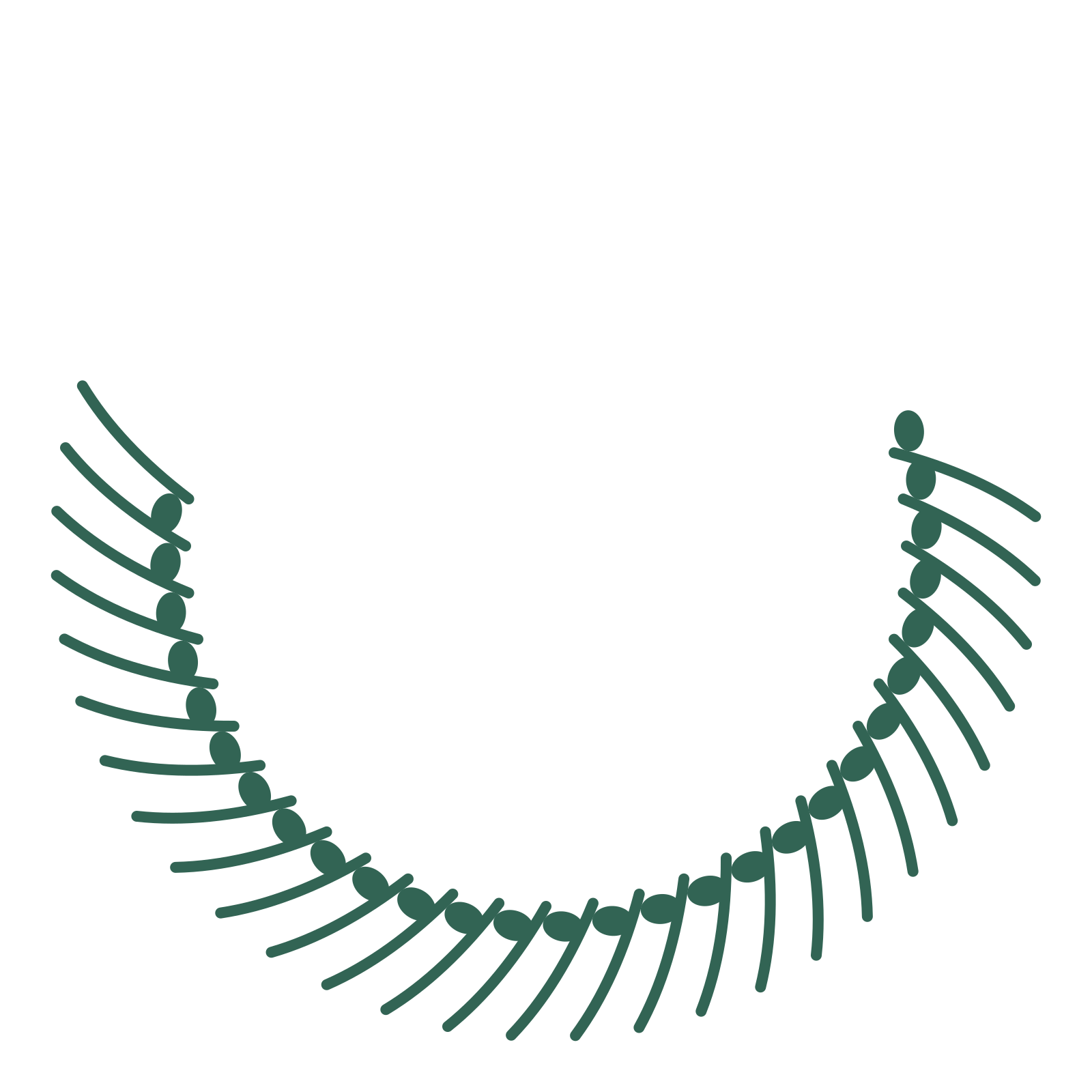 A crescent eucalyptus wreath made from 28 leafy motifs around an empty centre.