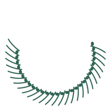 A crescent eucalyptus wreath made from 28 leafy motifs around an empty centre.