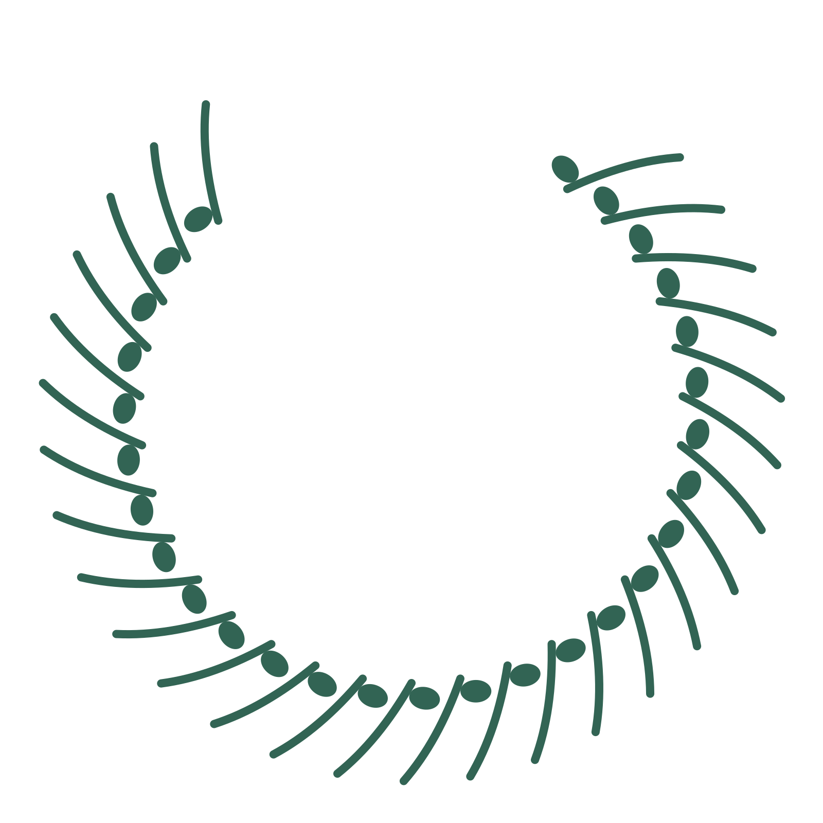 A open top eucalyptus wreath made from 28 leafy motifs around an empty centre.