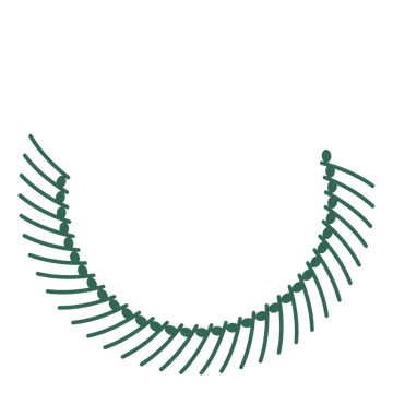 A crescent eucalyptus wreath made from 32 leafy motifs around an empty centre.