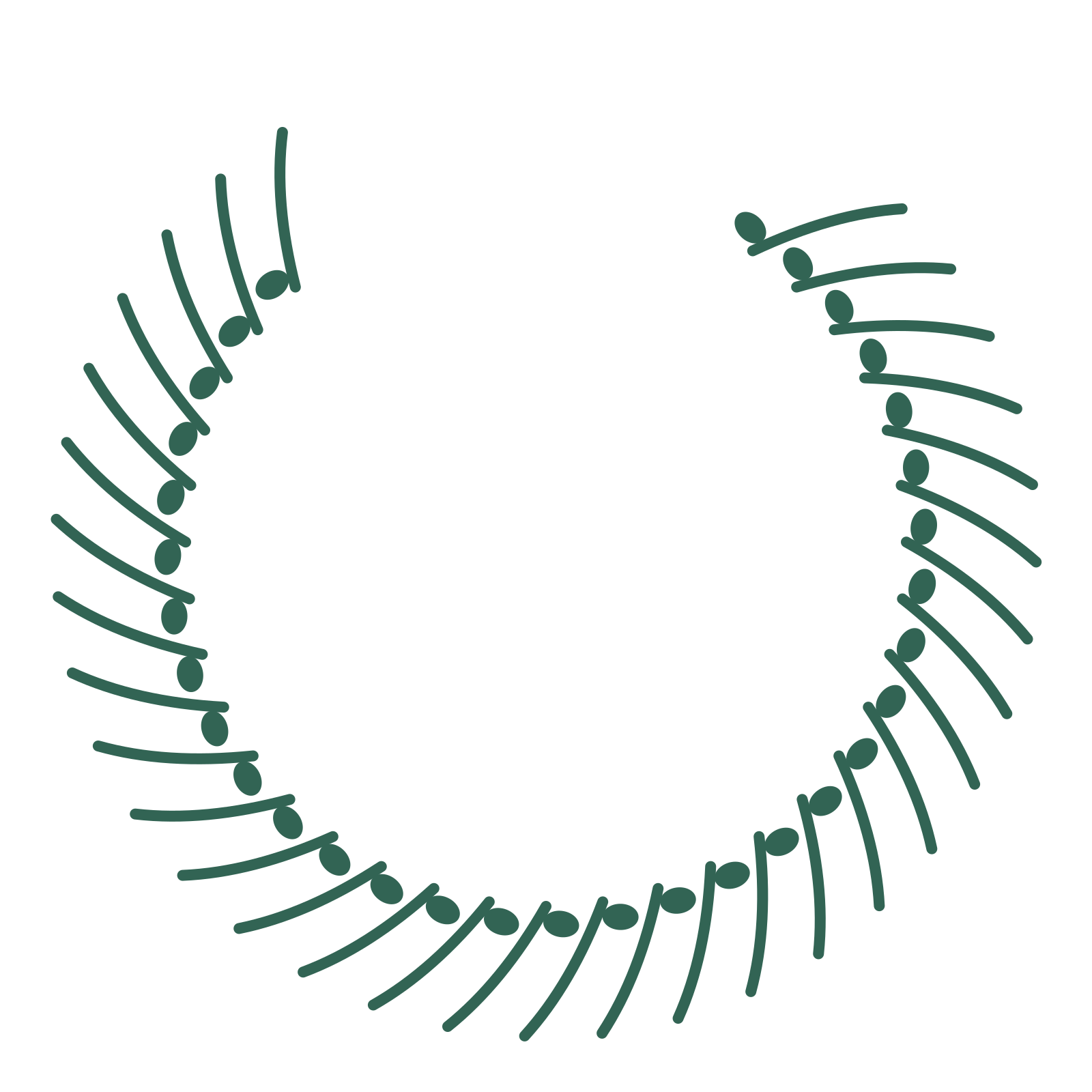 A open top eucalyptus wreath made from 32 leafy motifs around an empty centre.