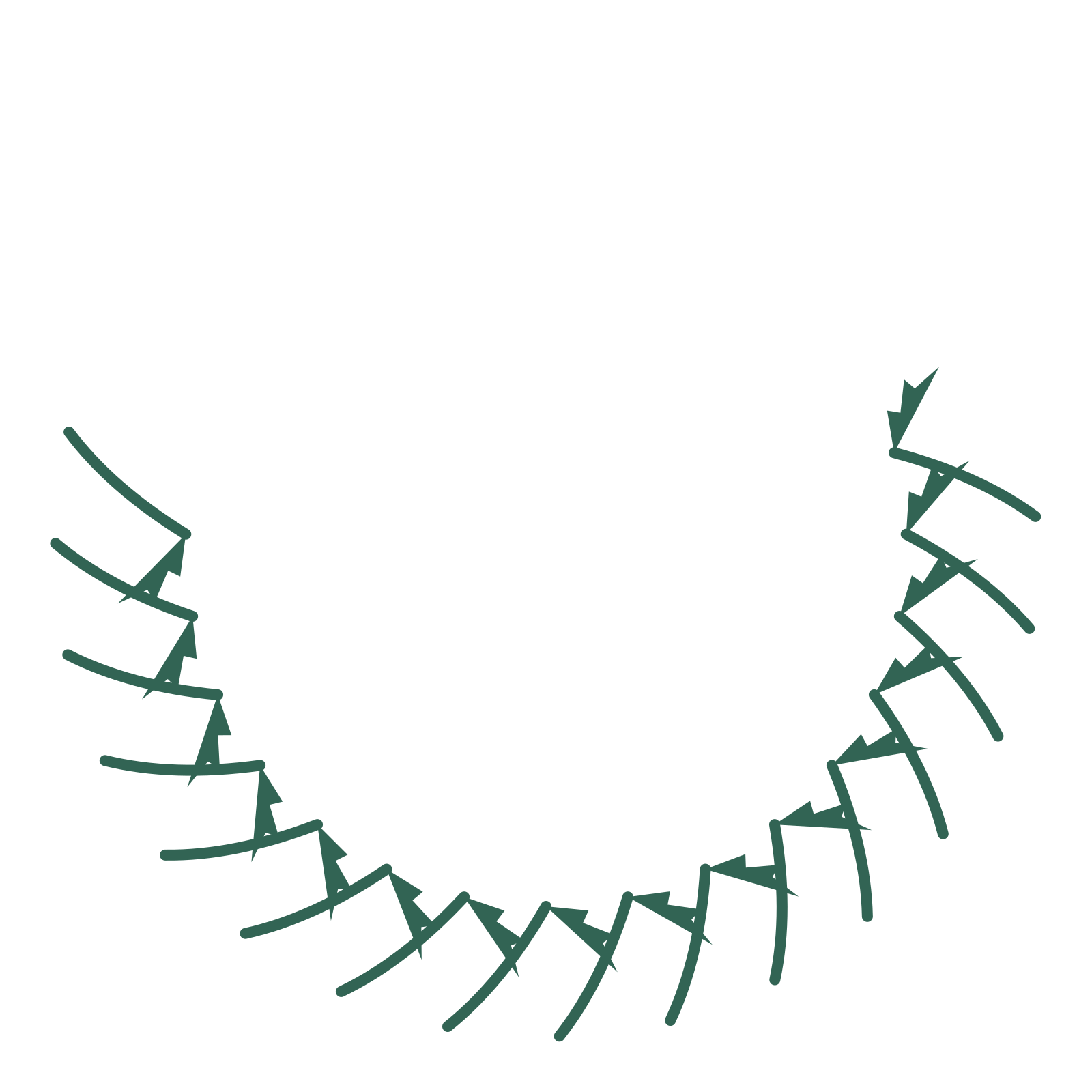 A crescent fern wreath made from 16 leafy motifs around an empty centre.