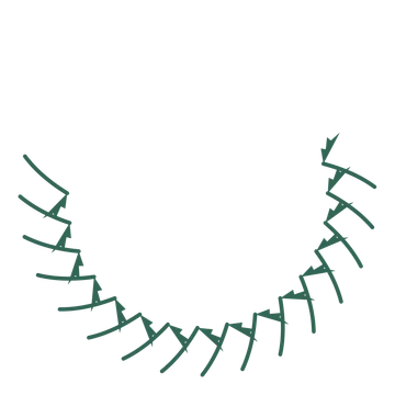 A crescent fern wreath made from 16 leafy motifs around an empty centre.