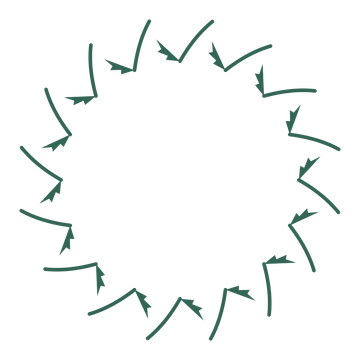 A full fern wreath made from 16 leafy motifs around an empty centre.