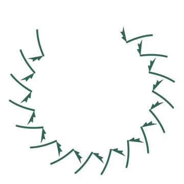 A open top fern wreath made from 16 leafy motifs around an empty centre.