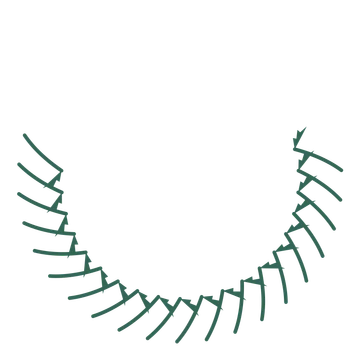 A crescent fern wreath made from 20 leafy motifs around an empty centre.