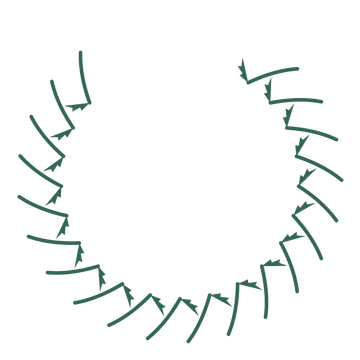 A open top fern wreath made from 20 leafy motifs around an empty centre.