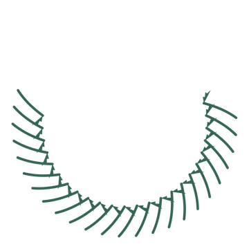 A crescent fern wreath made from 24 leafy motifs around an empty centre.