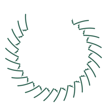 A open top fern wreath made from 24 leafy motifs around an empty centre.