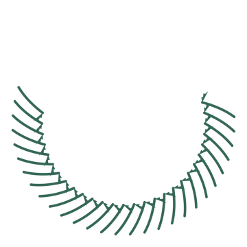 A crescent fern wreath made from 28 leafy motifs around an empty centre.