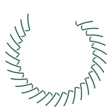 A open top fern wreath made from 28 leafy motifs around an empty centre.