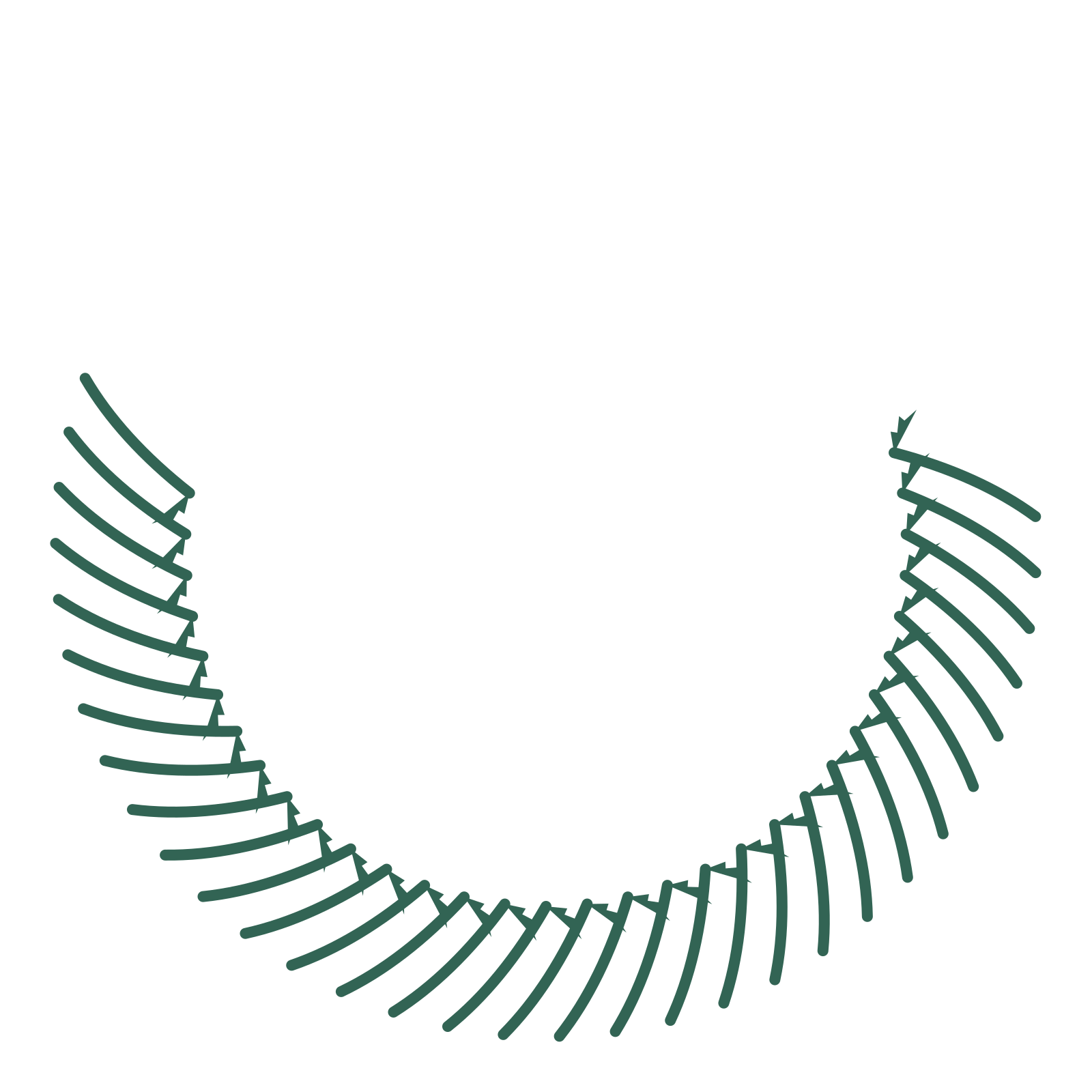 A crescent fern wreath made from 32 leafy motifs around an empty centre.