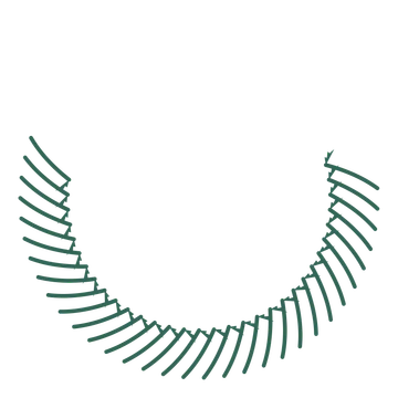 A crescent fern wreath made from 32 leafy motifs around an empty centre.
