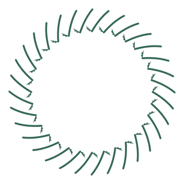 A full fern wreath made from 32 leafy motifs around an empty centre.