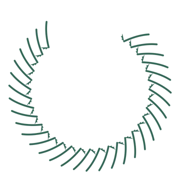 A open top fern wreath made from 32 leafy motifs around an empty centre.