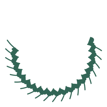 A crescent ginkgo wreath made from 20 leafy motifs around an empty centre.
