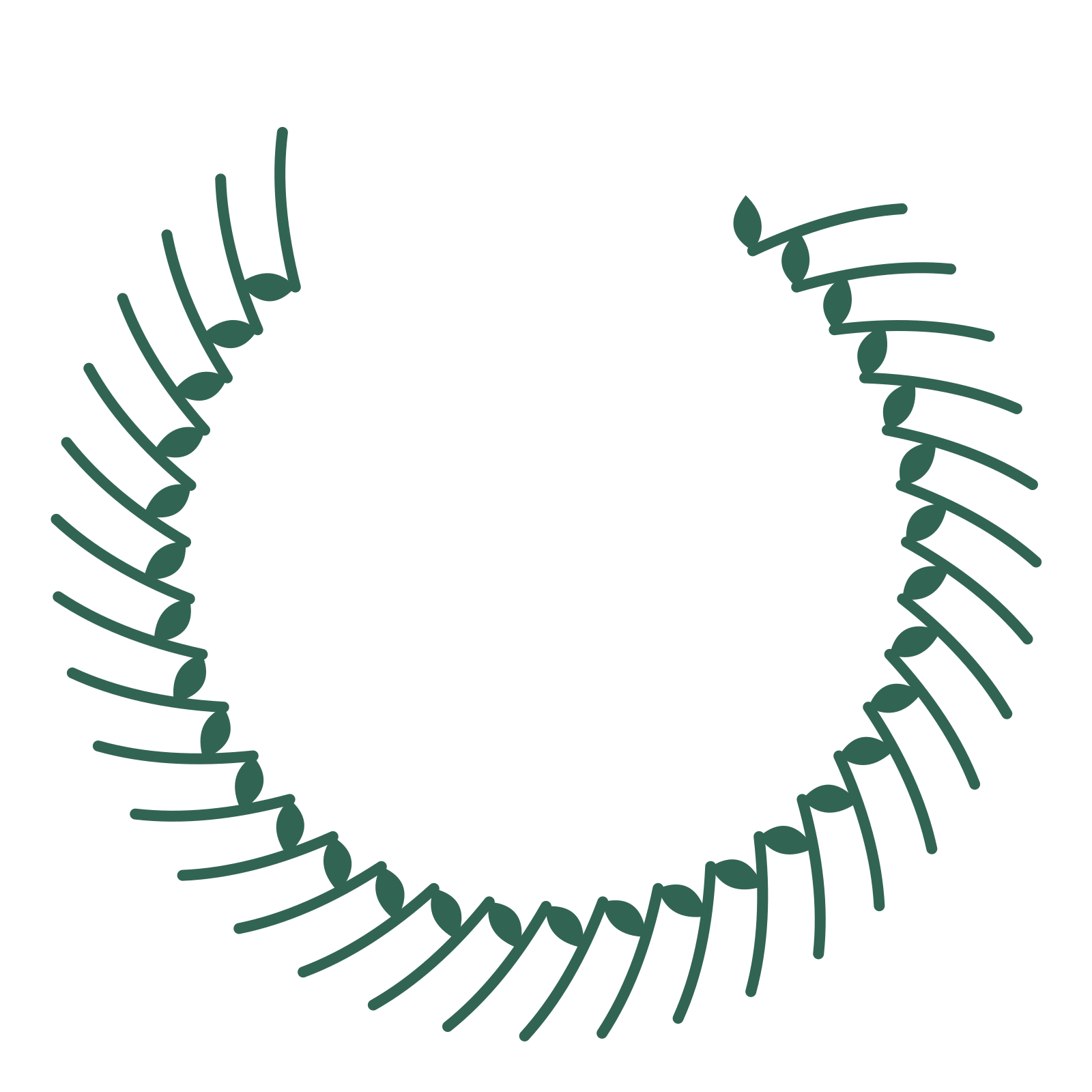 A open top laurel wreath made from 32 leafy motifs around an empty centre.