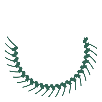 A crescent oak wreath made from 24 leafy motifs around an empty centre.