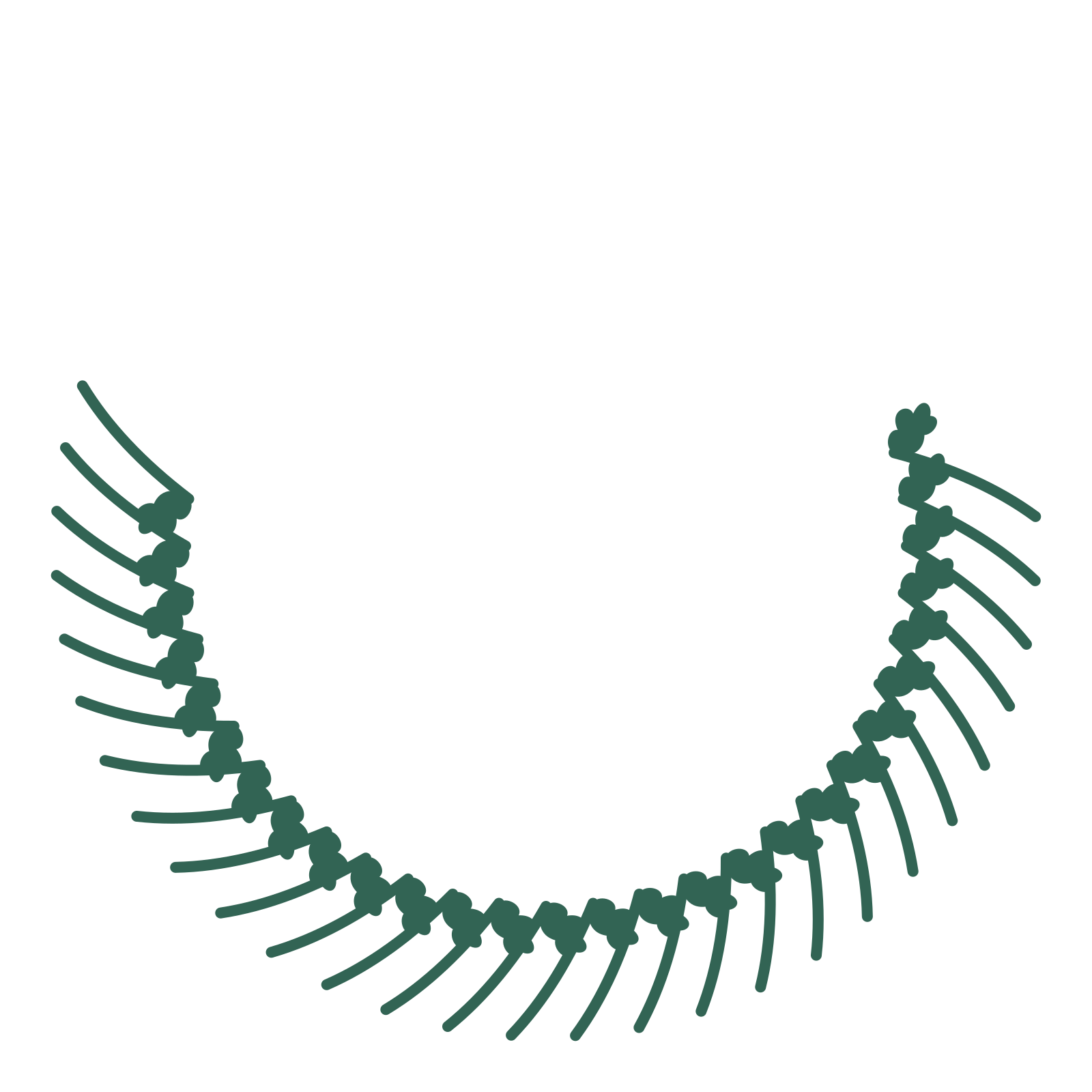 A crescent oak wreath made from 28 leafy motifs around an empty centre.