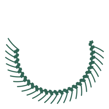 A crescent oak wreath made from 28 leafy motifs around an empty centre.