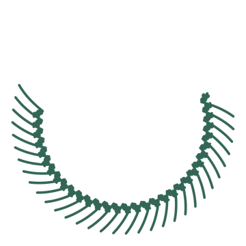 A crescent oak wreath made from 32 leafy motifs around an empty centre.