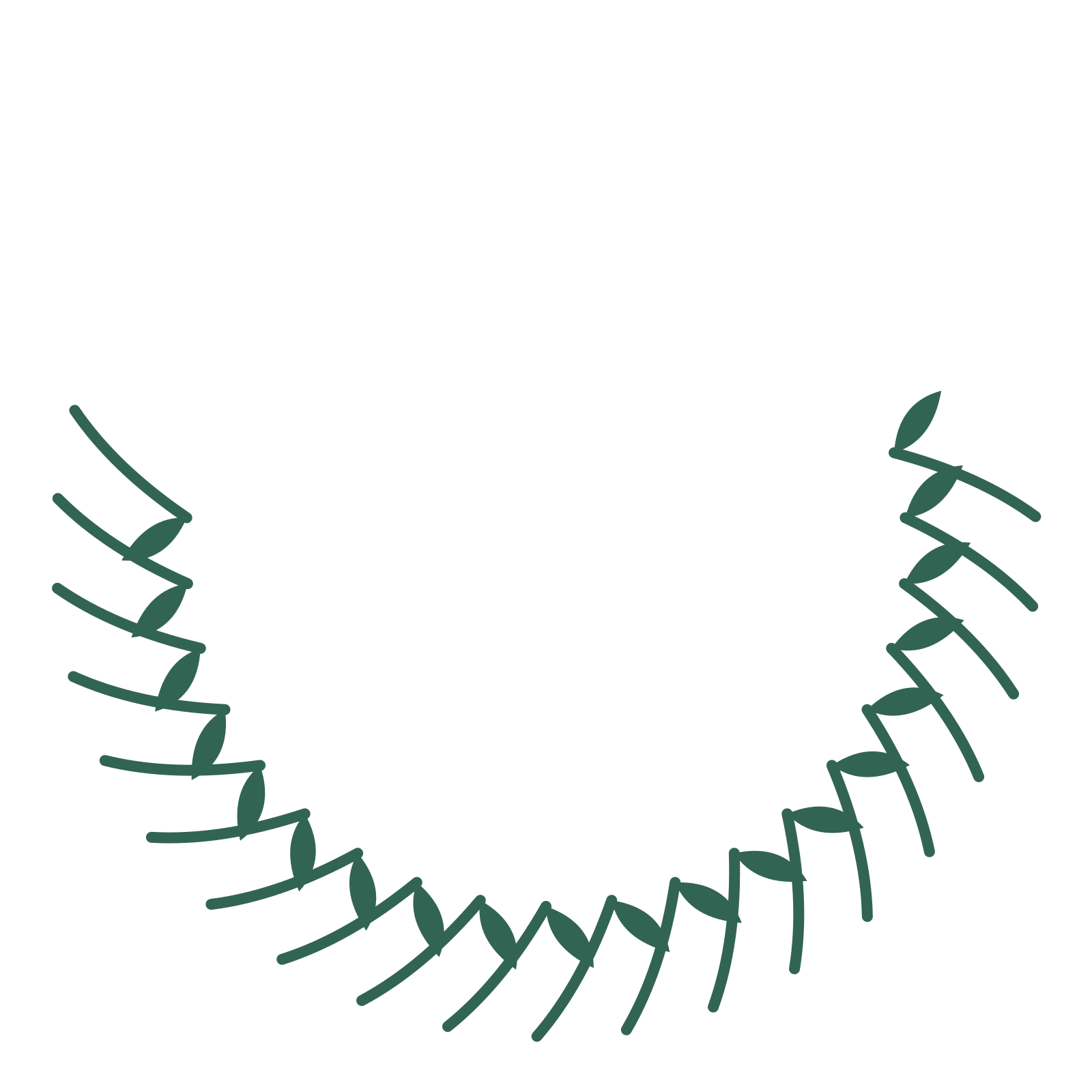 A crescent olive wreath made from 20 leafy motifs around an empty centre.