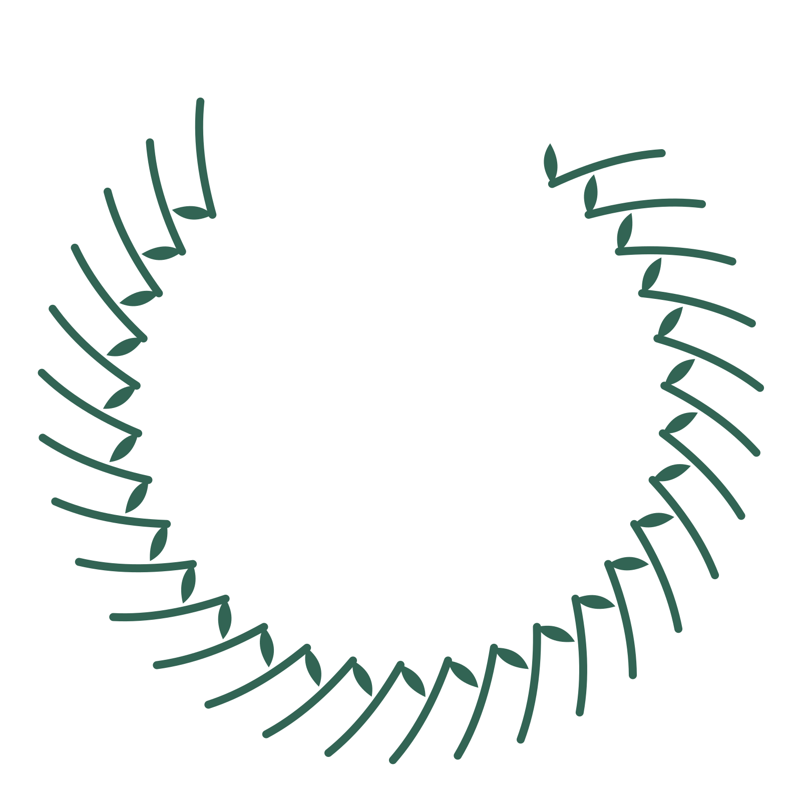 A open top olive wreath made from 28 leafy motifs around an empty centre.
