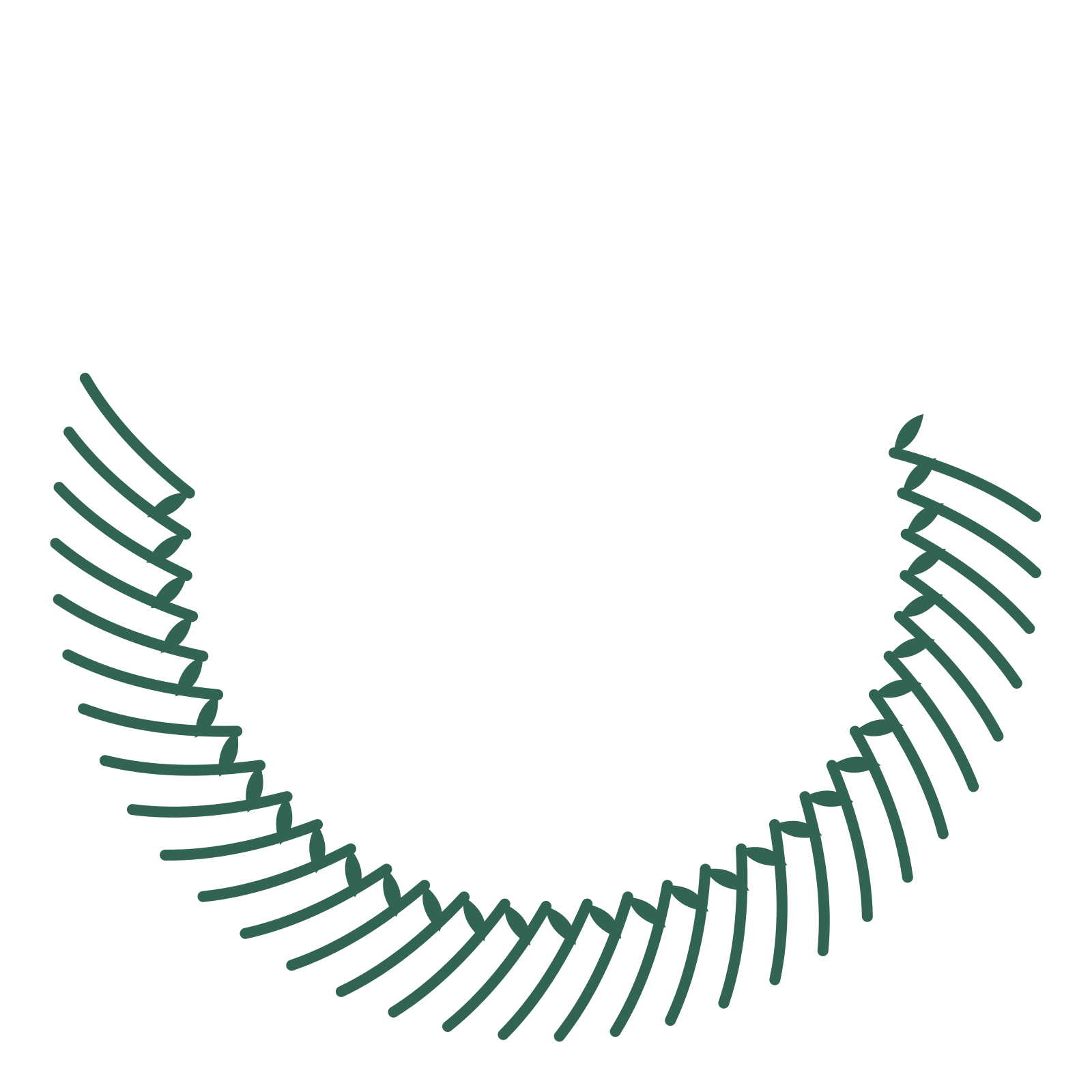 A crescent olive wreath made from 32 leafy motifs around an empty centre.