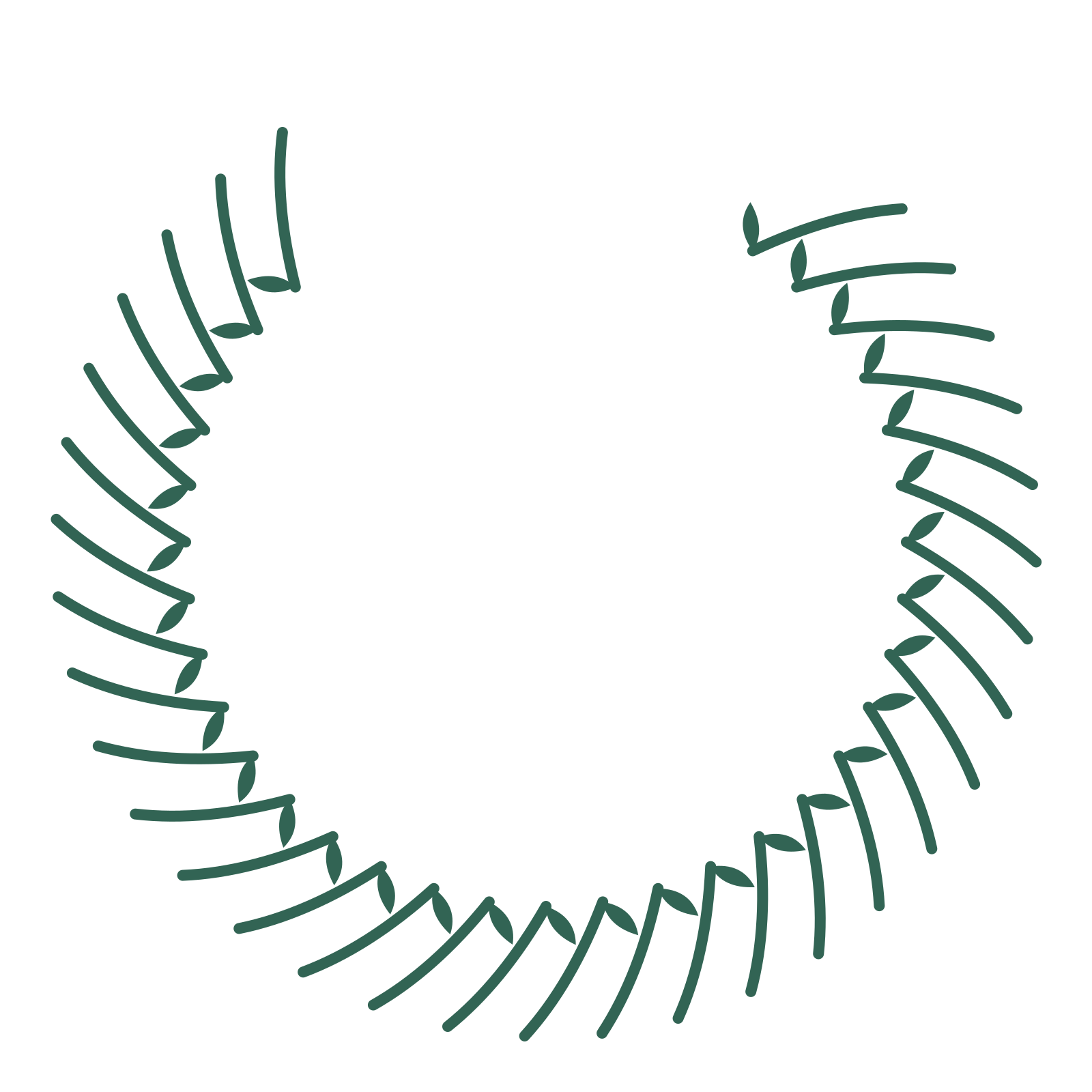 A open top olive wreath made from 32 leafy motifs around an empty centre.