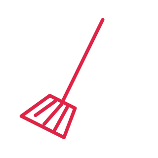 Witch broom.