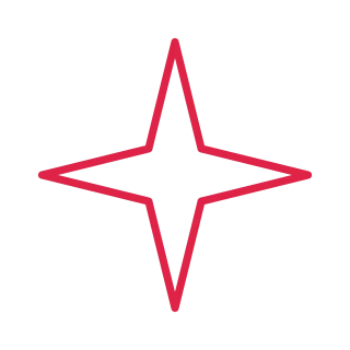 4 point slender star outline.