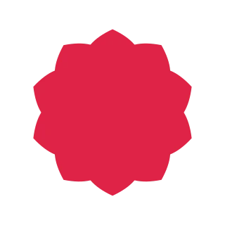 A radial flower has 10 pointed petals arranged around a circular centre.
