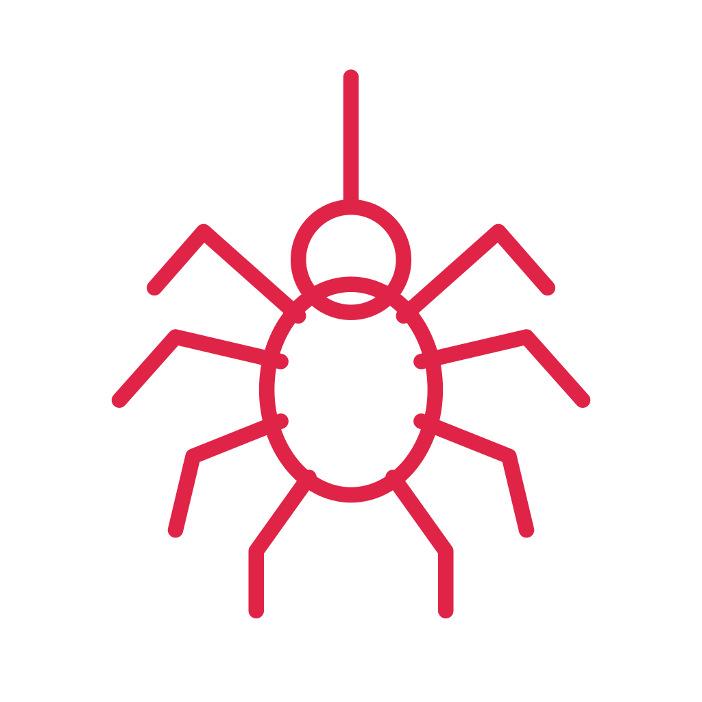 Eight leg Halloween spider.